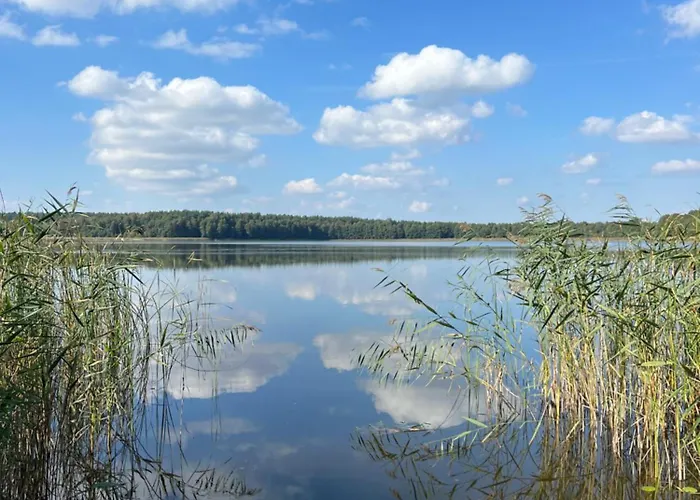 Ukoya Mazury فيلة Stręgielek